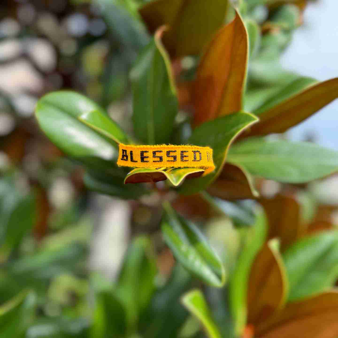 BLESSED Affirmation Bracelet – Handmade Reminder of Gratitude | Say It, Wear It, Believe It Collection