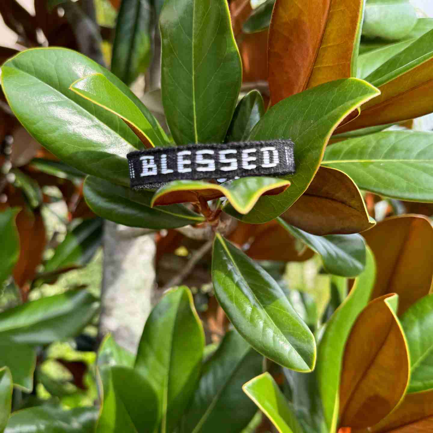 BLESSED Affirmation Bracelet – Handmade Reminder of Gratitude | Say It, Wear It, Believe It Collection
