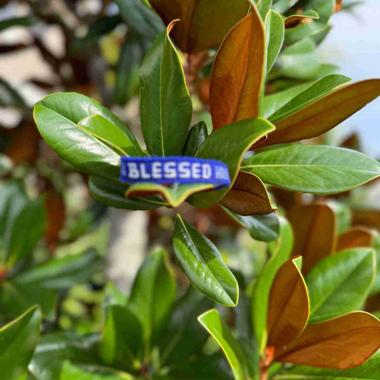 BLESSED Affirmation Bracelet – Handmade Reminder of Gratitude | Say It, Wear It, Believe It Collection