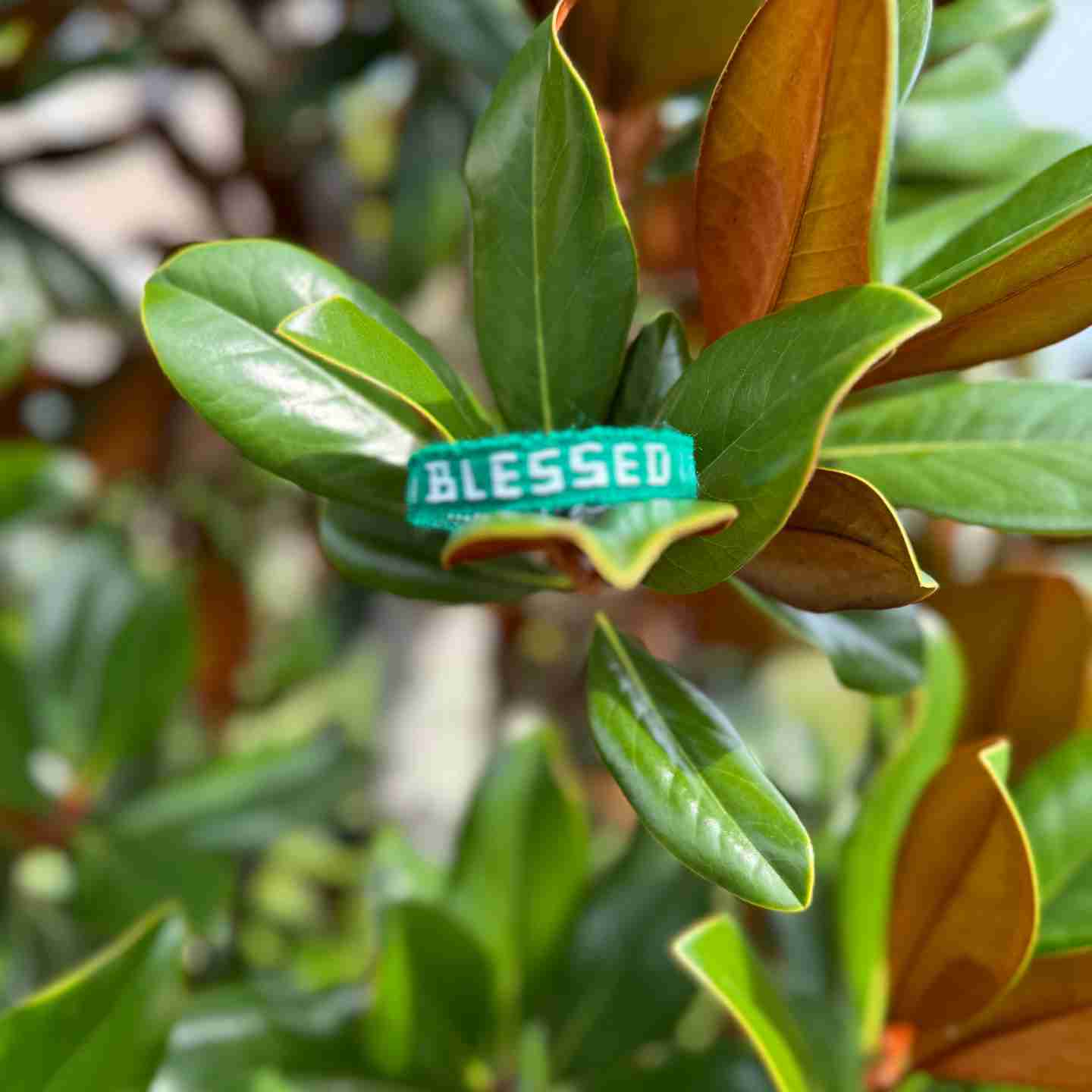 BLESSED Affirmation Bracelet – Handmade Reminder of Gratitude | Say It, Wear It, Believe It Collection