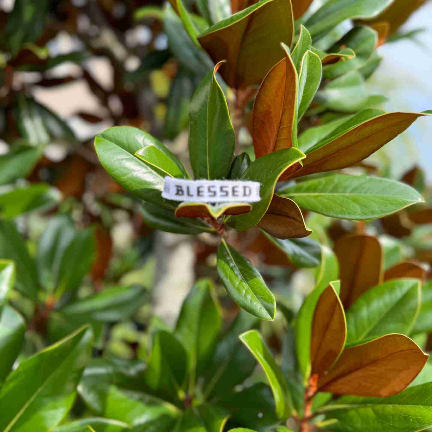 BLESSED Affirmation Bracelet – Handmade Reminder of Gratitude | Say It, Wear It, Believe It Collection