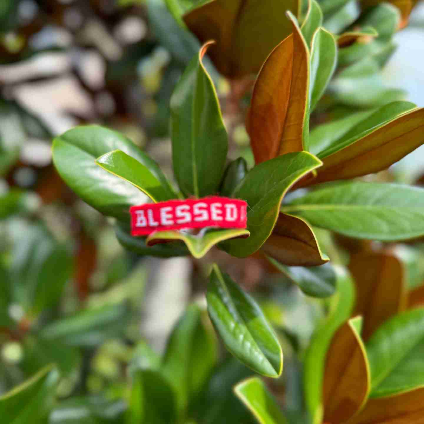 BLESSED Affirmation Bracelet – Handmade Reminder of Gratitude | Say It, Wear It, Believe It Collection